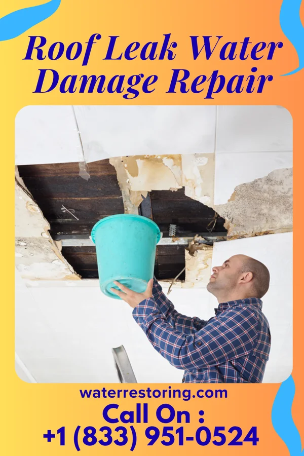 Roof Leak Water Damage Repair in Bayside, TX