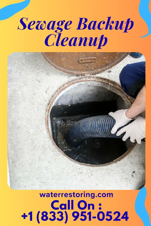 Sewage Backup Cleanup in Bayside, TX